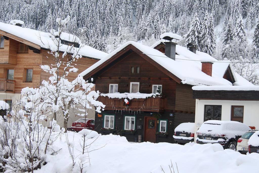 Peterlhaus Vila Kleinarl Exterior foto